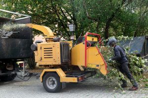 Tree Chipping Services in Lake Tahoe